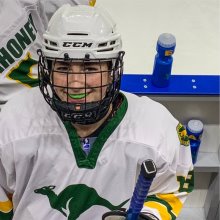 Ice Hockey Star Ice Hockey Star